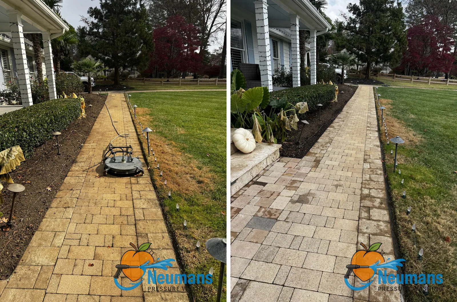 Before and after cleaning a residential paver walkway with a surface cleaner