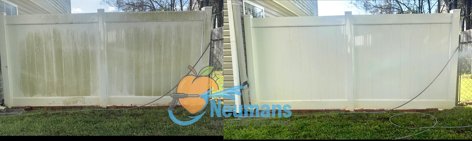 Before and after cleaning organic growth from a white vinyl privacy fence